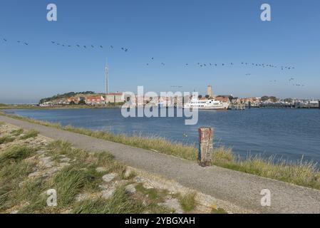 Port de la ville sur l'île de Wadden West-Terschelling Terschelling dans le nord des Pays-Bas Banque D'Images