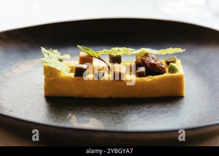 Délicieux repas de cuisine fusion espagnol, superbement décoré plat sur une plaque faite par un primé espagnol chef professionnel Banque D'Images