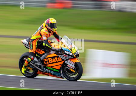 Phillip Island, Victoria, Australie. 19 octobre 2024. Le pilote de Moto2 SpeedUp Racing FERMIN ALDEGUER (54) tourne 4 Miller Corner lors des qualifications 1 samedi au Qatar Airways Australian Motorcycle Grand Prix 2024. (Crédit image : © James Forrester/ZUMA Press Wire) USAGE ÉDITORIAL SEULEMENT! Non destiné à UN USAGE commercial ! Banque D'Images