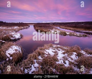 Première neige et lumière matinale à la réserve naturelle de Fokstumyra, Dovrefjell, Dovre kommune, Norvège, Scandinavie. Banque D'Images