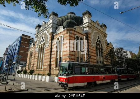 Sofia, Bulgarie - 17 octobre 2024 : un tramway passe devant la synagogue de Sofia en Bulgarie. Banque D'Images