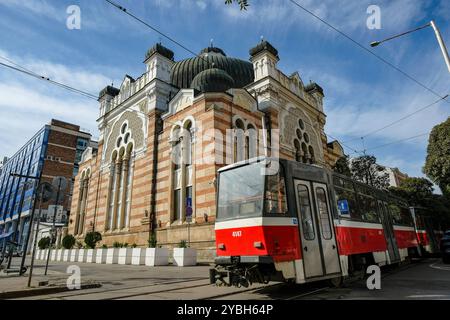 Sofia, Bulgarie - 17 octobre 2024 : un tramway passe devant la synagogue de Sofia en Bulgarie. Banque D'Images