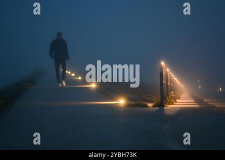 Norddeich, Allemagne. 19 octobre 2024. Un piéton marche sur le sommet de la digue dans un brouillard dense. Crédit : Lars Penning/dpa/Alamy Live News Banque D'Images