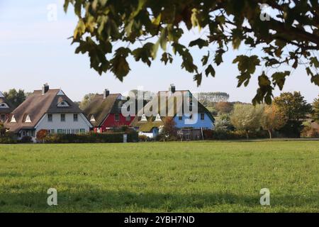 Blick am Mittwoch 16.10.2024 im Ostseebad Ahrenshoop Landkreis Vorpommern Rügen auf traditionelle Fischerhäuser mit Reetdach. AB dem Jahr 2025 greift in Deutschland die GrundsteuerReform. Damit kann die Unterhaltung von Eigenheimen wesentlich teurer werden. DAS betrifft insbesondere Wohnhäuser in exponierter Lage wie in den Urlaubsorten entlang der Ostseeküste. Denn hier sind Wohnimmobilien nach wie vor sehr gefragt. *** Vue le mercredi 16 10 2024 dans la station balnéaire Baltique d'Ahrenshoop dans le quartier de Vorpommern Rügen de maisons de pêcheurs traditionnelles avec des toits de chaume de 2025, le Banque D'Images