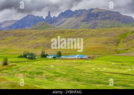 Fermes islandaises typiques Banque D'Images