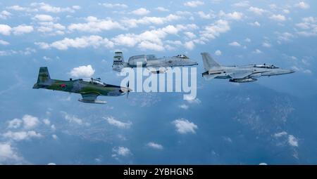 Un FA-50 Golden Eagle de l'armée de l'air de la République de Corée, à droite, et un KA-1 Woongbi, à gauche, affectés au train de la 8e escadre de chasse de la ROKAF avec un A-10 Thunderbolt Banque D'Images