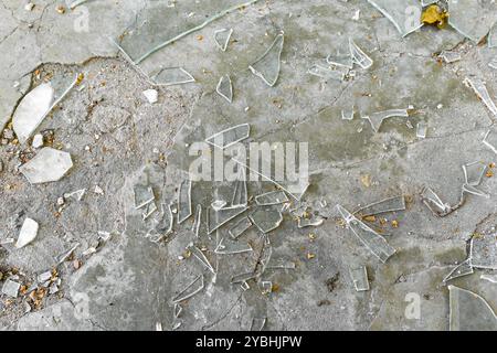 Des morceaux de verre brisé reposent sur la surface de béton. Un grand nombre de éclats de verre transparent reposent sur le sol Banque D'Images