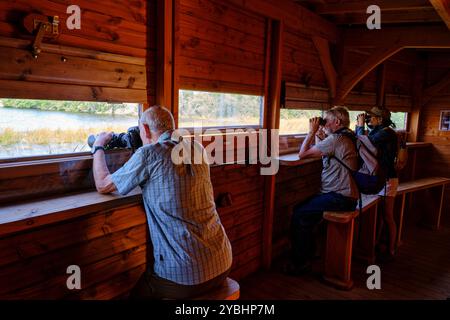 France, Indre (36), le Berry, Brenne, Parc naturel, observatoire, de l'étang de la sous Banque D'Images