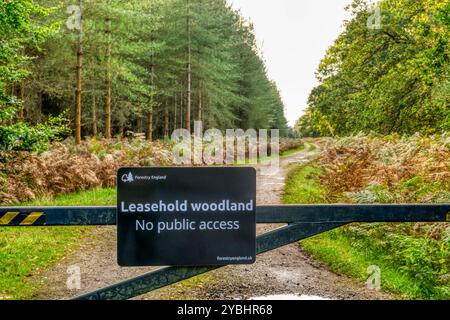 Terrain boisé à bail aucun panneau d'accès public sur une piste traversant Thetford Chase. Banque D'Images