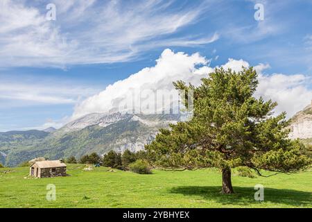 Col et refuge de Gabardito, vallée de l'Echo, Parc naturel des Valles Occidentales, Huesca, Espagne Banque D'Images