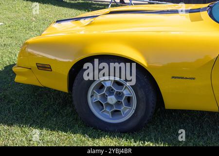 Vue rapprochée d'une voiture pontiac Firebird classique garée sur un terrain herbeux Banque D'Images