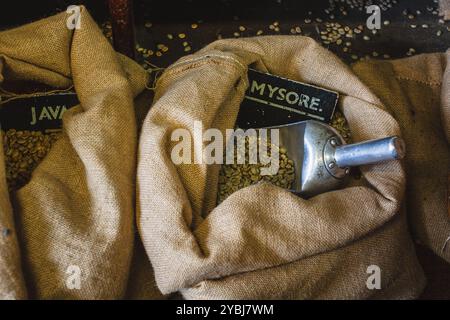 grains de café non torréfiés dans un sac en toile de jute avec une pelle Banque D'Images