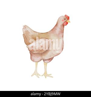 Élément isolé de poulet mignon sur blanc. Illustration aquarelle poule dans le style enfants pour textile, vaisselle de décoration, fêtes d'enfants, anniversaire, Pâques. Banque D'Images