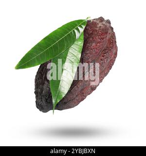 Gousse de cacao avec des feuilles vertes dans l'air sur fond blanc Banque D'Images