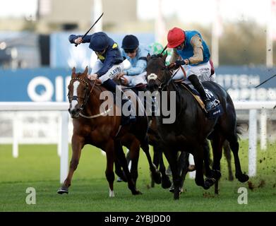 Kind of Blue Ridden de James Doyle remporte les Qipco British Champions Sprint Stakes lors de la QIPCO British Champions Day à Ascot Racecourse, Berkshire. Date de la photo : samedi 19 octobre 2024. Banque D'Images