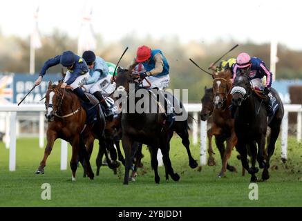 Kind of Blue Ridden de James Doyle remporte les Qipco British Champions Sprint Stakes lors de la QIPCO British Champions Day à Ascot Racecourse, Berkshire. Date de la photo : samedi 19 octobre 2024. Banque D'Images