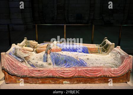 France, Maine-et-Loire (49), Fontevraud-l'Abbaye, Val de Loire, classée au Patrimoine mondial de l'UNESCO, l'Abbaye Royale, intérieur de l'abbaye, polychrome Banque D'Images