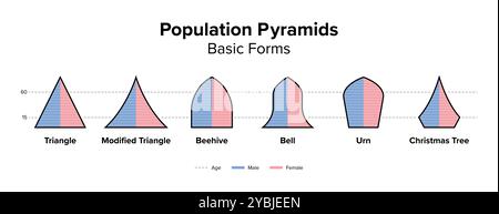 Basic forms of population pyramids. Age structure diagram and graphical illustration of the distribution of people. Banque D'Images