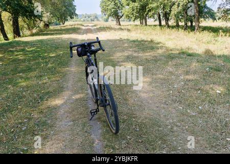 Le vélo se trouve sur une piste de terre dans la campagne tranquille, entouré d'arbres et de champs herbeux, parfait pour des aventures en plein air tranquilles ou des excursions à vélo. Banque D'Images