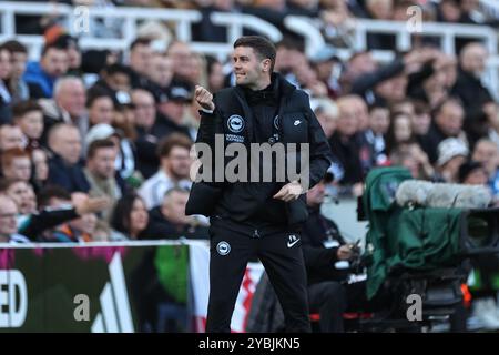 Fabian Hürzeler manager de Brighton & Hove Albion réagit dans le domaine technique lors du match de premier League Newcastle United vs Brighton et Hove Albion à l’occasion de James’s Park, Newcastle, Royaume-Uni, 19 octobre 2024 (photo Mark Cosgrove/News images) Banque D'Images