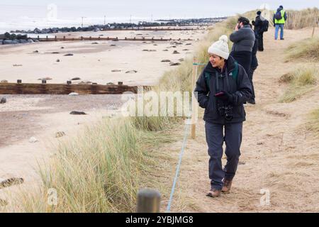 Norfolk, Royaume-Uni - 14 décembre 2023. Femme indienne asiatique regardant des phoques gris en hiver à Horsey Gap, Norfolk, Royaume-Uni Banque D'Images