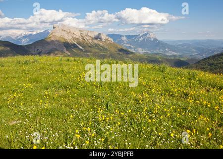 Vue du pic Peña Montañesa depuis le parc national d'Ordesa, Huesca, Espagne Banque D'Images