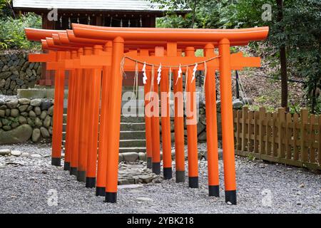 Groupe de portes rouges Torii au sanctuaire Kunozan Toshogu dédié aux Tokugawa Ieyasu à Shizuoka, Japon, le 25 septembre 2024 Banque D'Images