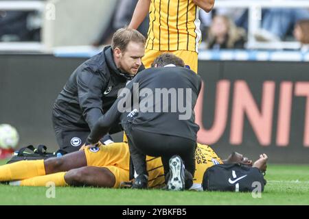 Newcastle, Royaume-Uni. 19 octobre 2024. Danny Welbeck de Brighton & Hove Albion reçoit un traitement lors du match de premier League Newcastle United vs Brighton et Hove Albion au James's Park, Newcastle, Royaume-Uni, le 19 octobre 2024 (photo Mark Cosgrove/News images) à Newcastle, Royaume-Uni le 19/10/2024. (Photo de Mark Cosgrove/News images/SIPA USA) crédit : SIPA USA/Alamy Live News Banque D'Images