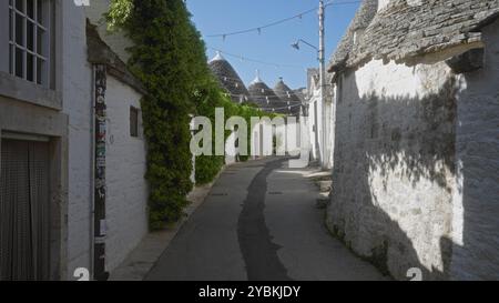 Charmante rue étroite à alberobello, pouilles, italie, bordée de maisons traditionnelles de trulli, lierre vert et murs blanchis à la chaux sous un eur bleu vif Banque D'Images