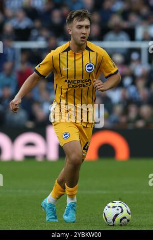 Jack Hinshelwood de Brighton et Hove Albion lors du match de premier League entre Newcastle United et Brighton et Hove Albion au James's Park, Newcastle le samedi 19 octobre 2024. (Photo : Michael Driver | mi News) crédit : MI News & Sport /Alamy Live News Banque D'Images