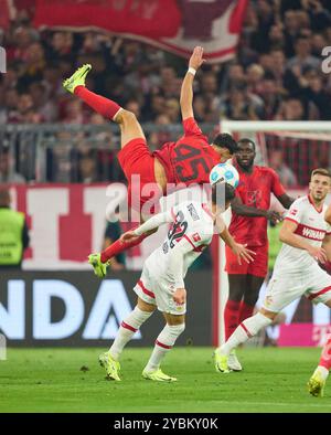 Aleksandar Pavlovic, FCB 45 en compétition pour le ballon, tackling, duel, header, zweikampf, action, lutte contre Fabian Rieder, VFB 32 dans le match FC BAYERN MUENCHEN - VFB STUTTGART le 19 octobre 2024 à Munich, Allemagne. Saison 2024/2025, 1.Bundesliga, FCB, Muenchen, journée 7, 7.Spieltag photographe : ddp images/STAR-images - LA RÉGLEMENTATION DFL INTERDIT TOUTE UTILISATION DE PHOTOGRAPHIES comme SÉQUENCES D'IMAGES et/ou QUASI-VIDÉO - crédit : ddp Media GmbH/Alamy Live News Banque D'Images