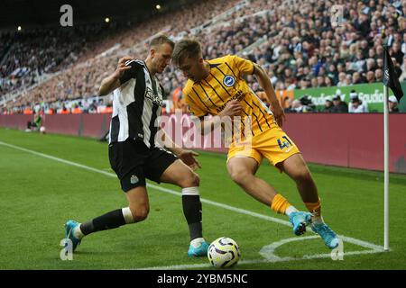 Dan Burn de Newcastle United défie Jack Hinshelwood de Brighton et Hove Albion lors du match de premier League entre Newcastle United et Brighton et Hove Albion au James's Park, Newcastle le samedi 19 octobre 2024. (Photo : Michael Driver | mi News) crédit : MI News & Sport /Alamy Live News Banque D'Images