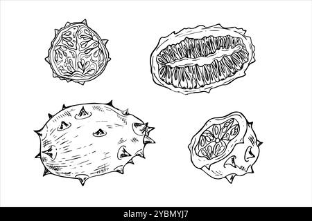 Ensemble d'illustration isolée de vecteur de fruit de melon kiwano Spiked peint par des encres noires. Entier, moitié et tranche de plante exotique de concombre à cornes tropicales Illustration de Vecteur