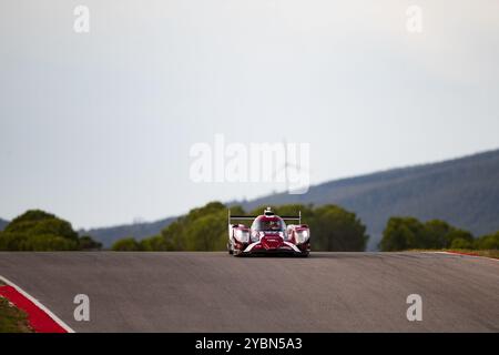 27 PEDERSEN Benjamin (usa), STEVENS Will (gbr), Nielsen Racing, Oreca 07 - Gibson, action pendant les 4 heures de Portimao 2024, 6ème manche des European le Mans Series 2024 sur le circuit International de l'Algarve du 16 au 19 octobre 2024 à Portimao, Portugal - photo Joao Filipe/DPPI crédit : DPPI Media/Alamy Live News Banque D'Images