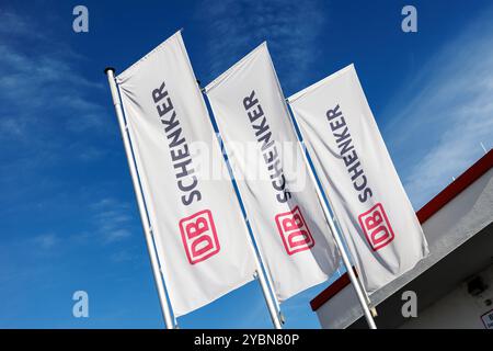 Eching, Allemagne. 17 octobre 2024. Le logo DB Schenker est visible sur les drapeaux du site d'Eching (Bavière) le 17 octobre 2024. Sous la marque DB Schenker, Deutsche Bahn AG gère le segment d'activité de tous les services de transport et de logistique du groupe DB. Le Conseil de surveillance de Deutsche Bahn a approuvé la vente de la filiale logistique DB Schenker à DSV. Crédit : Matthias Balk/dpa/Alamy Live News Banque D'Images