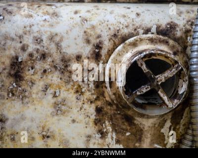 Moule noir sur émail blanc. Spores de moisissure. Contamination de surface. Salle de bains. Manque de propreté. Mauvaise hygiène Banque D'Images