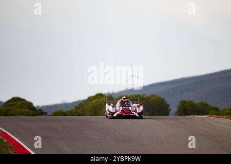 27 PEDERSEN Benjamin (usa), STEVENS Will (gbr), Nielsen Racing, Oreca 07 - Gibson, action pendant les 4 heures de Portimao 2024, 6ème manche de la European le Mans Series 2024 sur le circuit International de l'Algarve du 16 au 19 octobre 2024 à Portimao, Portugal Banque D'Images