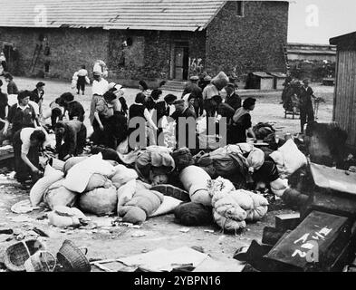 Les prisonniers des Aufräumungskommando (commandos d'ordre) déchargent les biens confisqués d'un transport de Juifs de Hongrie dans un entrepôt à Auschwitz-Birkenau. Les Juifs en Hongrie étaient relativement en sécurité jusqu'à ce qu'Hitler, craignant que la Hongrie cherche un accord avec les alliés, ordonne l'invasion du pays en mars 1944. Entre le 15 mai et le 9 juillet 1944, plus de 434 000 Juifs ont été déportés dans 147 trains, la plupart d'entre eux à Auschwitz, où environ 80% ont été gazés à leur arrivée. La progression rapide des expulsions a été rendue possible par une coopération étroite entre les autorités hongroises et allemandes. Banque D'Images