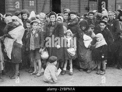 Des femmes et des enfants juifs de Hongrie attendent la sélection sur la rampe d'Auschwitz. Les Juifs en Hongrie étaient relativement en sécurité jusqu'à ce qu'Hitler, craignant que la Hongrie cherche un accord avec les alliés, ordonne l'invasion du pays en mars 1944. Entre le 15 mai et le 9 juillet 1944, plus de 434 000 Juifs ont été déportés dans 147 trains, la plupart d'entre eux à Auschwitz, où environ 80% ont été gazés à leur arrivée. La progression rapide des expulsions a été rendue possible par une coopération étroite entre les autorités hongroises et allemandes. Banque D'Images