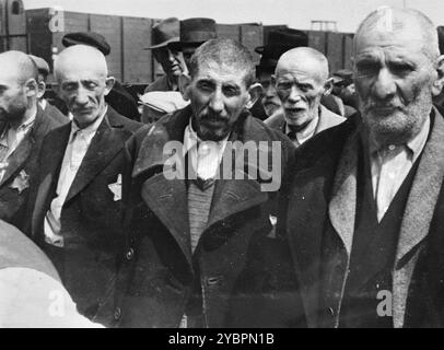 Des hommes juifs de Hongrie attendent la sélection sur la rampe d'Auschwitz-Birkenau. Les Juifs en Hongrie étaient relativement en sécurité jusqu'à ce qu'Hitler, craignant que la Hongrie cherche un accord avec les alliés, ordonne l'invasion du pays en mars 1944. Entre le 15 mai et le 9 juillet 1944, plus de 434 000 Juifs ont été déportés dans 147 trains, la plupart d'entre eux à Auschwitz, où environ 80% ont été gazés à leur arrivée. La progression rapide des expulsions a été rendue possible par une coopération étroite entre les autorités hongroises et allemandes. Banque D'Images