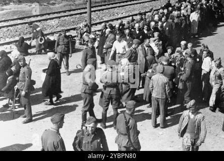 Juifs hongrois au processus de sélection sur la rampe d'Auschwitz. Quelques-uns ont été gardés pour des travaux forcés, le reste a été gazé quelques heures après la sélection. Les Juifs en Hongrie étaient relativement en sécurité jusqu'à ce qu'Hitler, craignant que la Hongrie cherche un accord avec les alliés, ordonne l'invasion du pays en mars 1944. Entre le 15 mai et le 9 juillet 1944, plus de 434 000 Juifs ont été déportés dans 147 trains, la plupart d'entre eux à Auschwitz, où environ 80% ont été gazés à leur arrivée. La progression rapide des expulsions a été rendue possible par une coopération étroite entre les autorités hongroises et allemandes. Banque D'Images