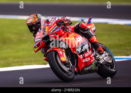 Melbourne, Australie. 19 octobre 2024. Francesco Bagnaia sur la Ducati Lenovo Team Ducati lors des essais au MotoGP australien 2024 sur le circuit du Grand Prix de Phillip Island. Crédit : Santanu Banik/Alamy Live News Banque D'Images