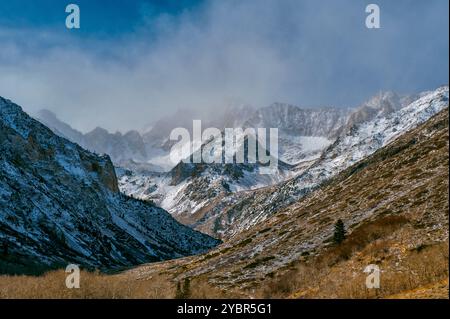 MT. Baldwin, McGee Creek, forêt nationale d'Inyo, Sierra orientale Banque D'Images