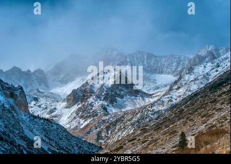 MT. Baldwin, McGee Creek, forêt nationale d'Inyo, Sierra orientale Banque D'Images