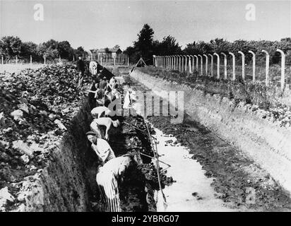 Prisonniers en travaux forcés au camp de concentration de Neuengamme. Banque D'Images