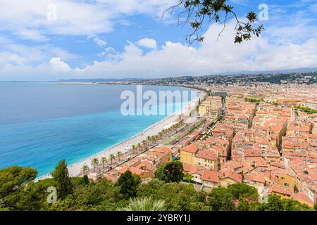 Front de mer de Nice bordé de palmiers et Promenade des Anglais, Nice, Provence-Alpes-Côte d'Azur, Alpes-Maritimes, France Banque D'Images