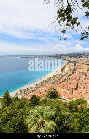 Front de mer de Nice bordé de palmiers et Promenade des Anglais, Nice, Provence-Alpes-Côte d'Azur, Alpes-Maritimes, France Banque D'Images