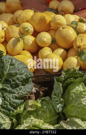 Citrons (Citrus Ã— limon) et chou, vente au marché, marché hebdomadaire, Majorque, Îles Baléares, Espagne, Europe Banque D'Images