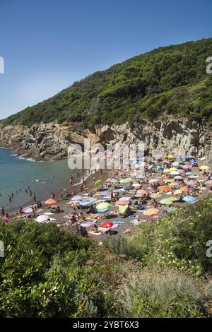 Crique de Lion, plage sur la côte toscane près de Livourne ville Italie Banque D'Images