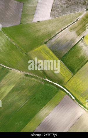 Vue aérienne de la composition géographique des champs cultivés Banque D'Images
